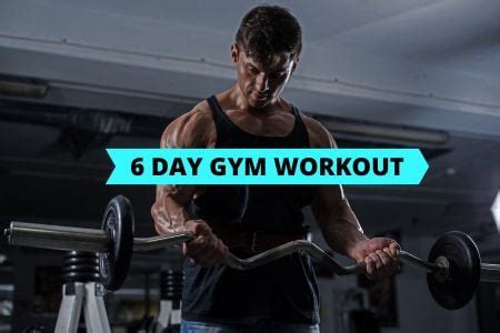 Workout Routine Database .